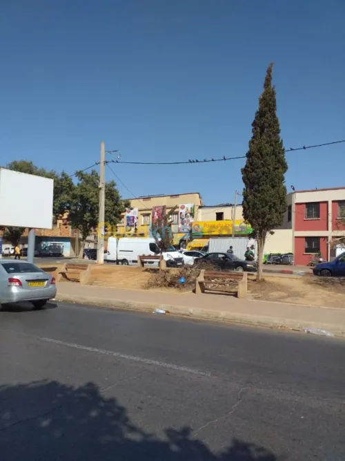 Vente Local Oran Oran