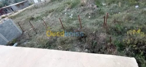 Vente Carcasse Skikda Cheraia