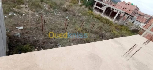 Vente Carcasse Skikda Cheraia