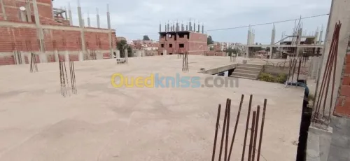 Vente Carcasse Skikda Cheraia