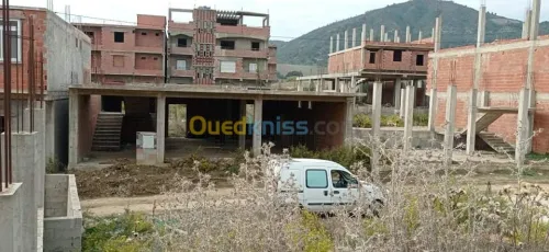 Vente Carcasse Skikda Cheraia