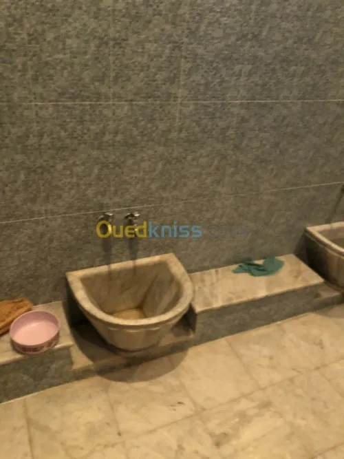 Vente Villa Alger Birtouta