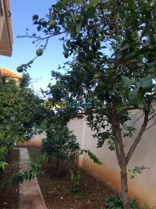 Vente Villa Alger Birtouta