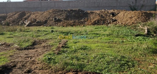 Vente Terrain Boumerdes Ouled moussa