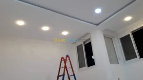 Placoplatre et  décoration  moulure 