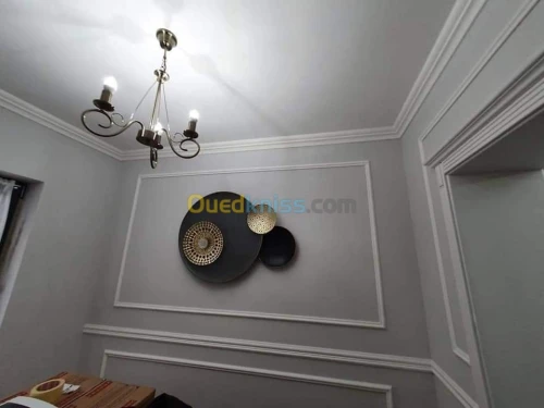 Placoplatre et  décoration  moulure 