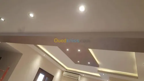 Placoplatre et  décoration  moulure 