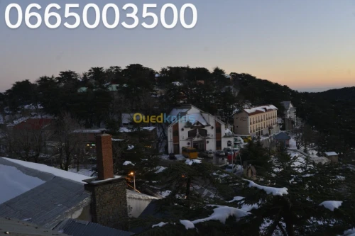 Location vacances Bungalow Blida Chrea