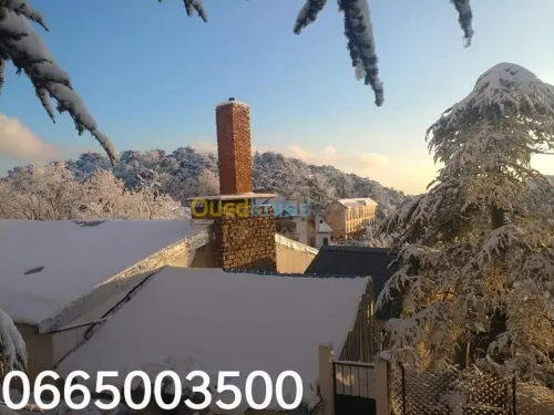 Location vacances Bungalow Blida Chrea