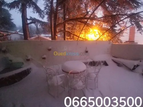 Location vacances Bungalow Blida Chrea