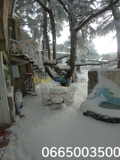 Location vacances Bungalow Blida Chrea
