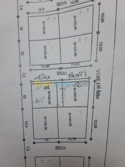 Vente Terrain Tlemcen Tlemcen
