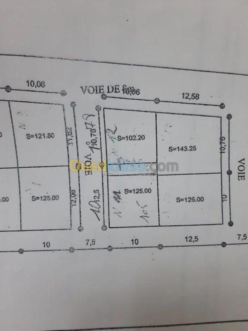 Vente Terrain Tlemcen Tlemcen