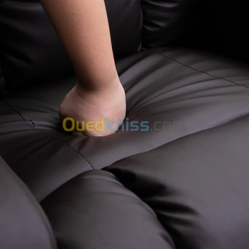 FAUTEUIL RELAX RELEVEUR De LUXE