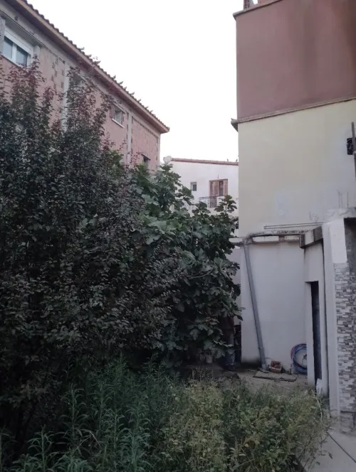Vente Villa Alger Rouiba
