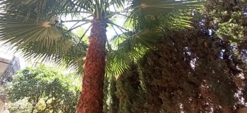 Vente Villa Alger Ouled fayet