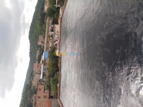 اشغال العزل والسطوح 