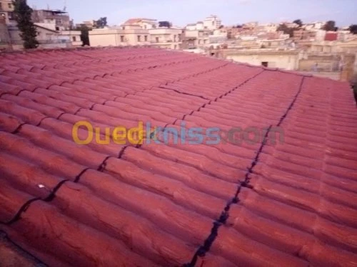 اشغال العزل والسطوح 