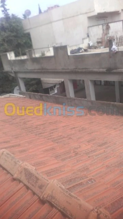 اشغال العزل والسطوح 