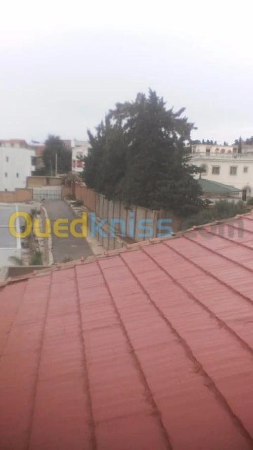 اشغال العزل والسطوح 