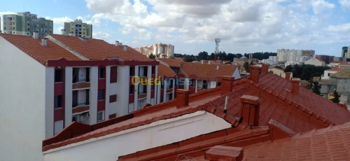 اشغال العزل والسطوح 