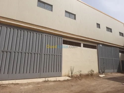 Location Hangar Blida Blida