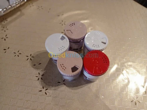 les Moules (Boite a gâteaux et epices)