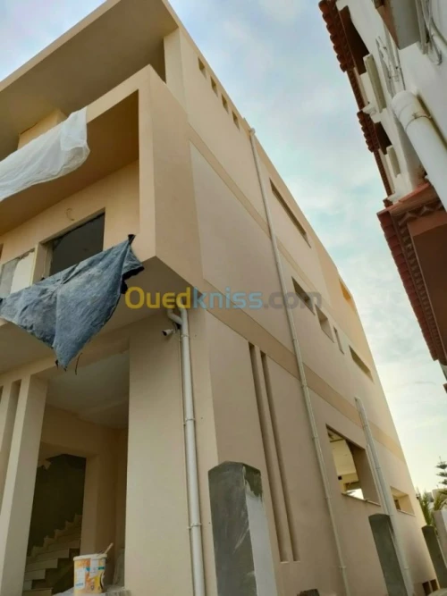 Peinture Facade En Monocouche