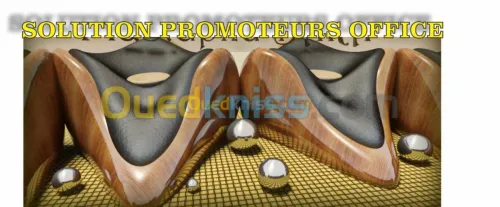 Solution Promoteurs Office