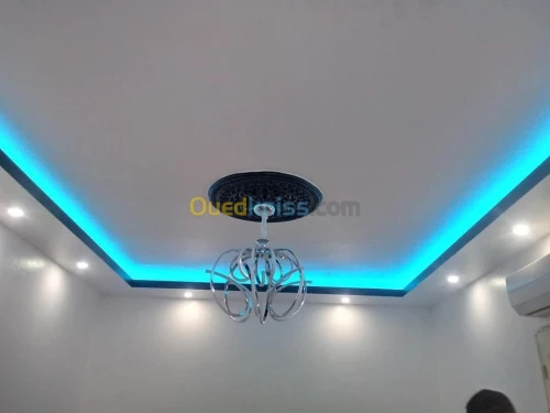 placoplatre pvc  & electricite 