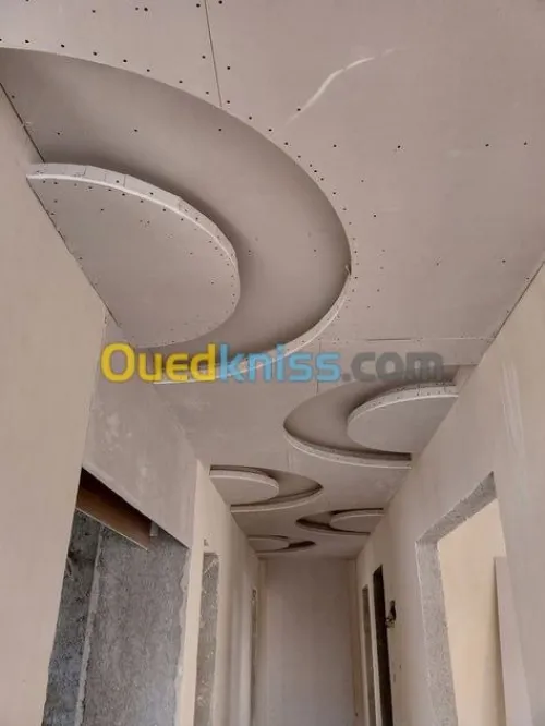 placoplatre pvc  & electricite 