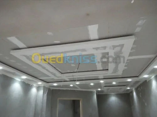 placoplatre pvc  & electricite 