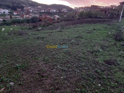 Vente Terrain Boumerdès Taourga