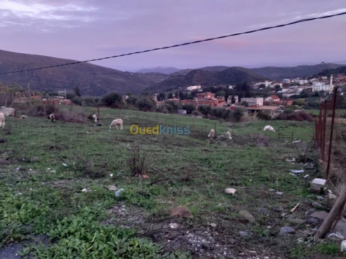 Vente Terrain Boumerdès Taourga