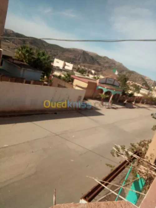 Vente Villa Relizane Ain tarek