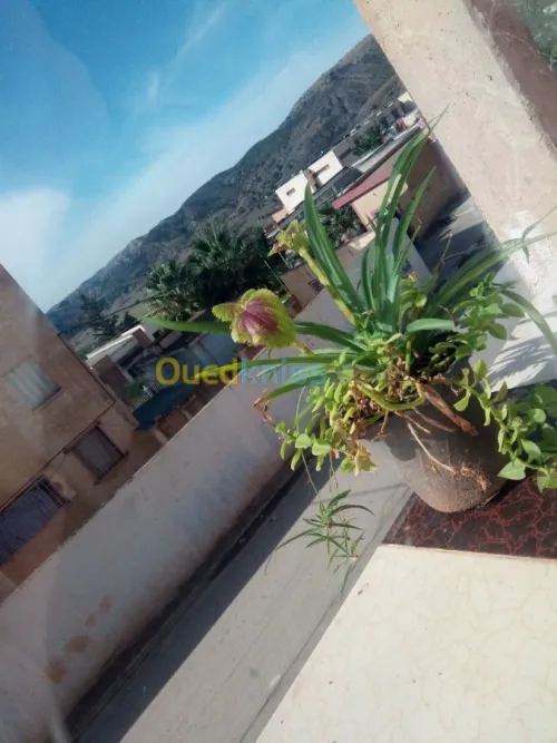 Vente Villa Relizane Ain tarek