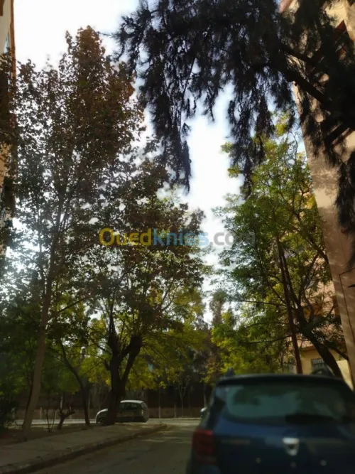 Vente Appartement F3 Sidi bel abbes Sidi bel abbes