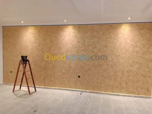 Peintre professionnel