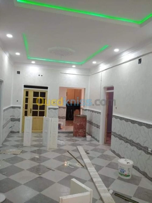 Peintre professionnel