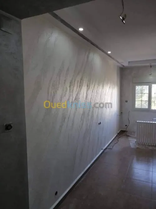 Peintre professionnel