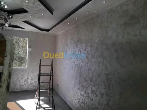 Peintre professionnel