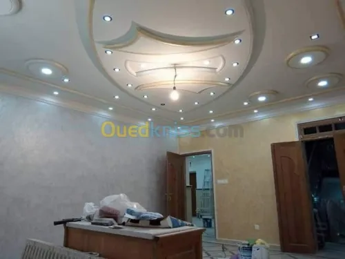 Peintre professionnel