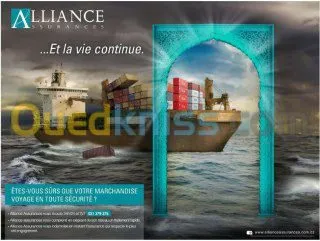 Assurance toutes branches 