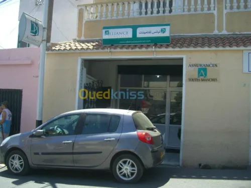 Assurance toutes branches 