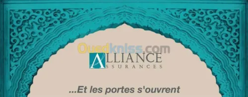 Assurance toutes branches 