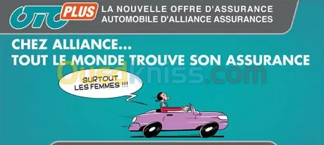 Assurance toutes branches 