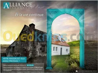 Assurance toutes branches 