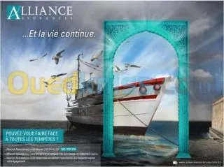 Assurance toutes branches 