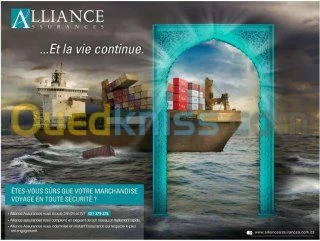 Assurance toutes branches 