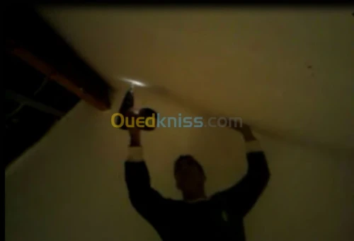 plaque au platre charpente couverture